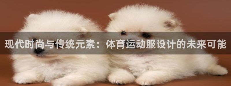 vsport体育官方正版app开户:现代时尚与传统元素:体育