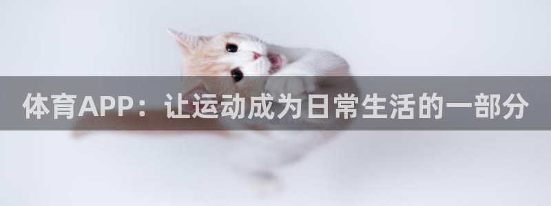 vsport体育官网下载平台是正规平台吗安全吗:体育APP: