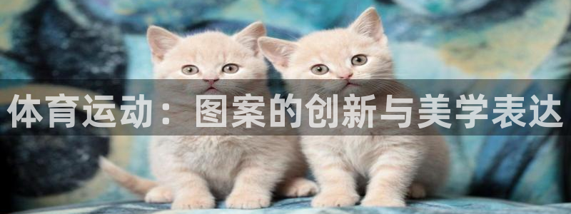 vsport体育官网下载平台注册流程视频:体育运动:图案的创