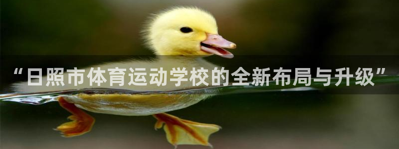 vsport体育官网下载平台假的吗是真的吗:“日照市体育运动