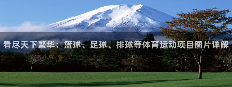 vsport体育官网下载开户:看尽天下繁华:篮球、足球、排球